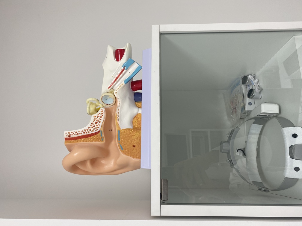 ЛОР УСЛУГИ В ЕРЕВАНЕ (УХО ГОРЛО НОС)