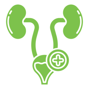 Urology